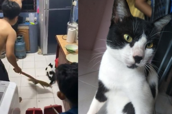 Ubat Antiviral Chicken Pox - Sumpah x